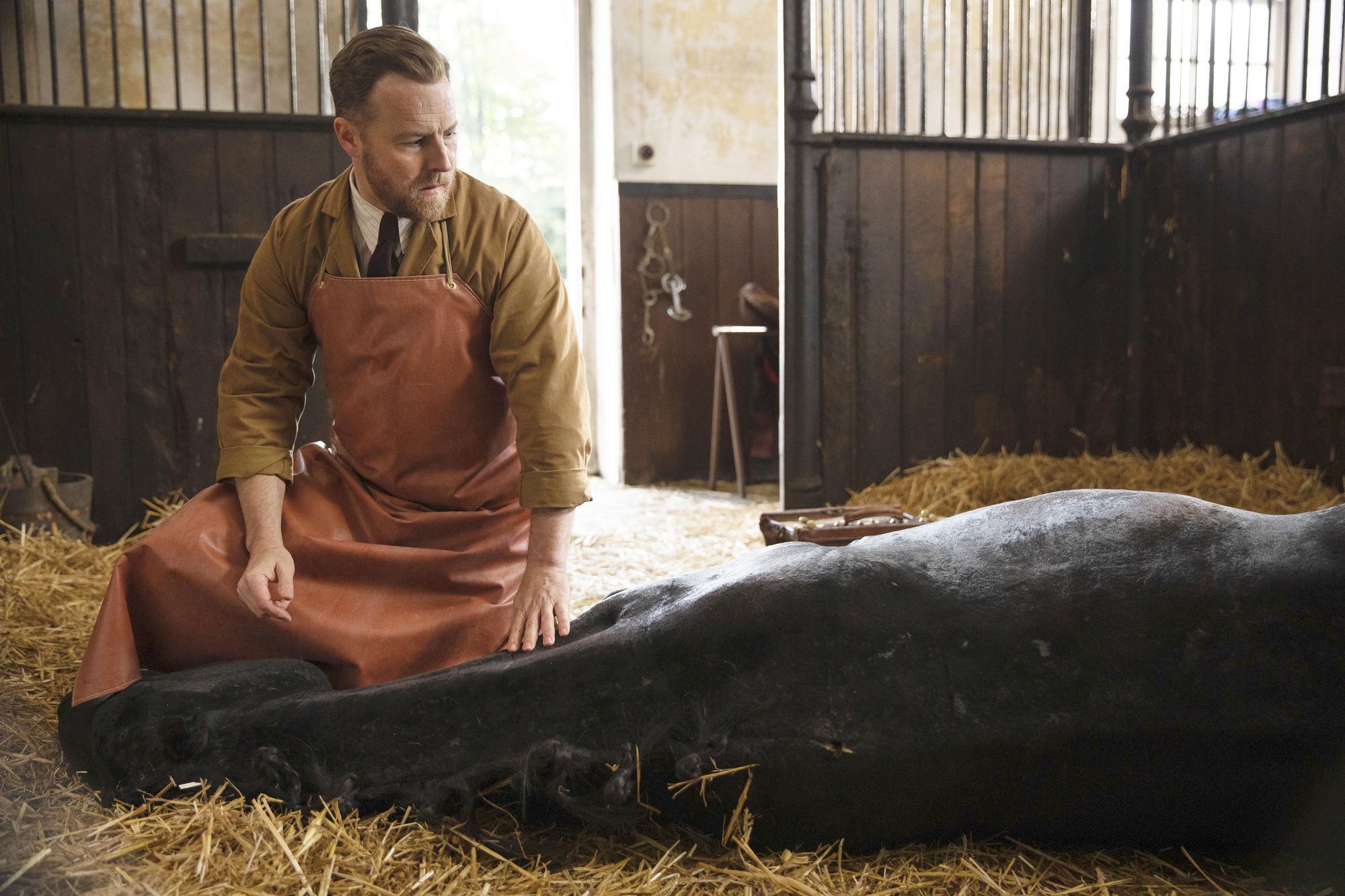     Wszystkie stworzenia duże i małe - polska premiera serialu opartego na kultowej powieści już dziś!